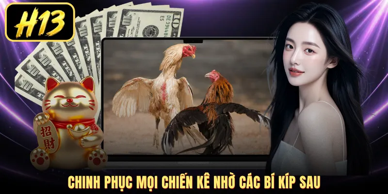 Chinh phục mọi chiến kê nhờ các bí kíp sau