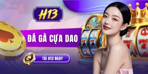 Đá Gà Cựa Dao | Xem +100 Trận Đấu Kịch Tính Nghẹt Thở